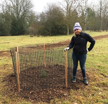 Planting a tree at Westonbirt Arboretum