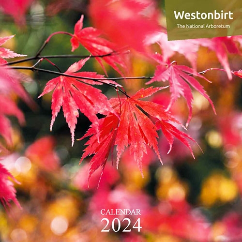 2024 Westonbirt Calendar