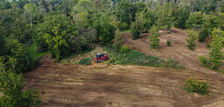 Silk Wood Community Planting Project after mulching