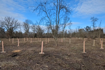 Planting Hope, Building Futures: 200 Trees Begin Their Journey