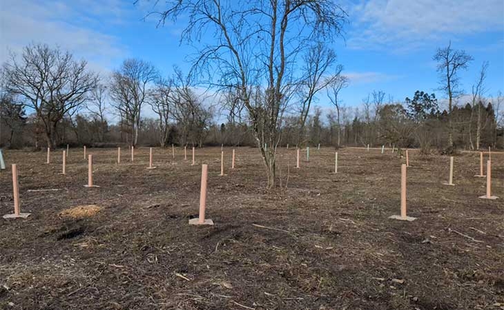 First trees planted in the Silk Wood Community Woodland