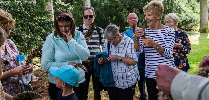 A diverse group of individuals gathered around a majestic tree, enjoying each other's company and the beauty of nature.