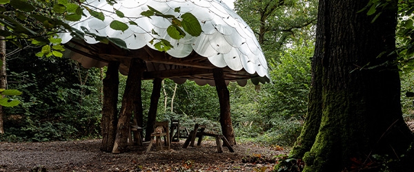 Green Woodworking Shelter