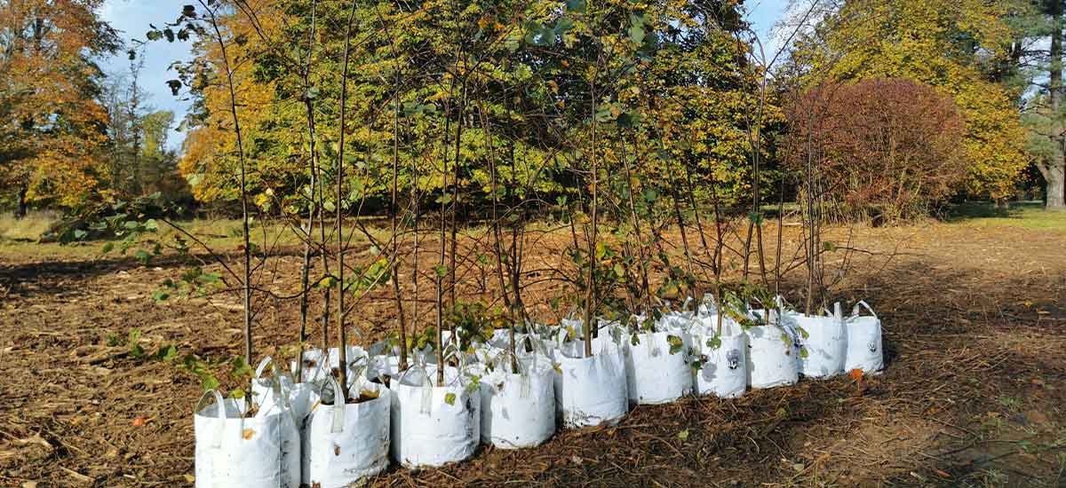 Silk Wood Community Planting