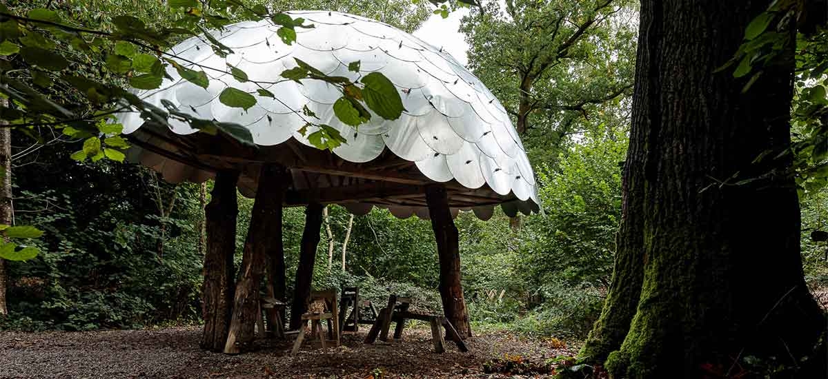 Green woodworking shelter at Westonbirt: A rustic wooden structure nestled in nature, providing a serene space for woodworking activities.