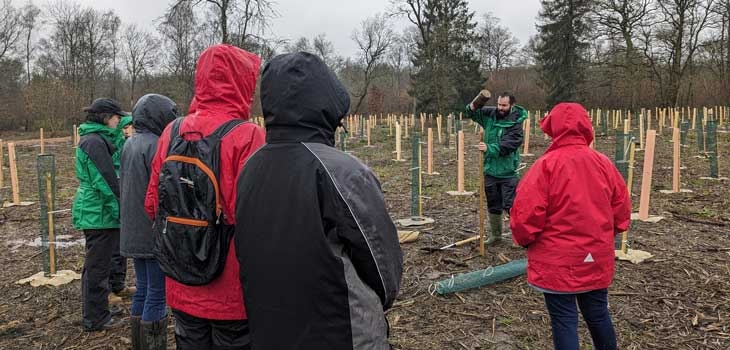 The Friends' Team day planting saplings in Silk Wood 