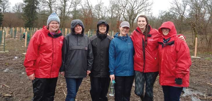 The Friends' Team day planting saplings in Silk Wood 