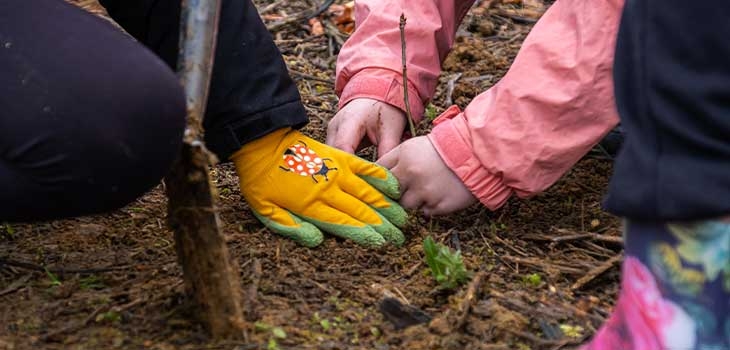 Children planting trees in Silk Wood