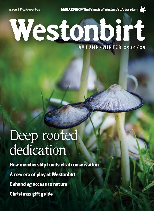 Westonbirt Magazine Autumn/Winter 2024