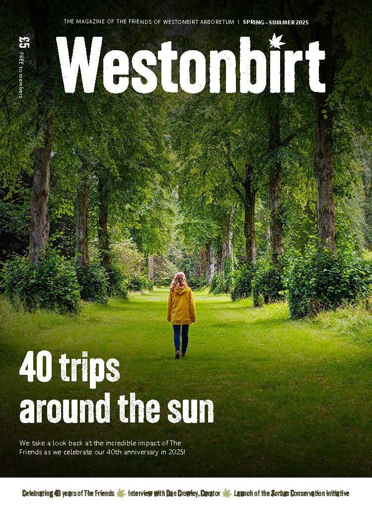 Westonbirt Magazine Autumn/Winter 2024