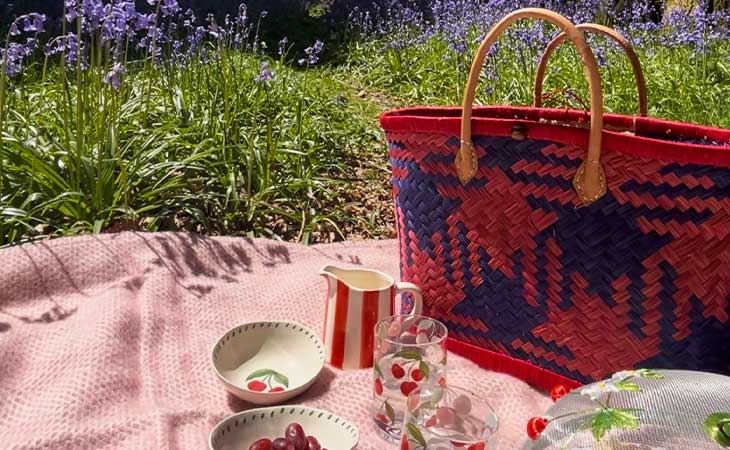 frriends-of-westonbirt-arboretum-fowa-picnic.jpg