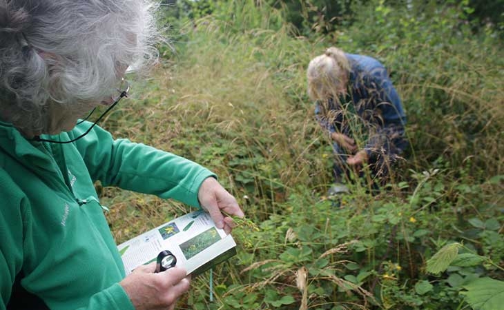 Flora survey