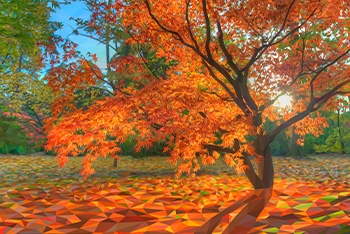 Vivid Vistas