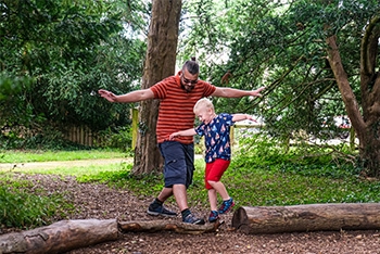 What’s on in June