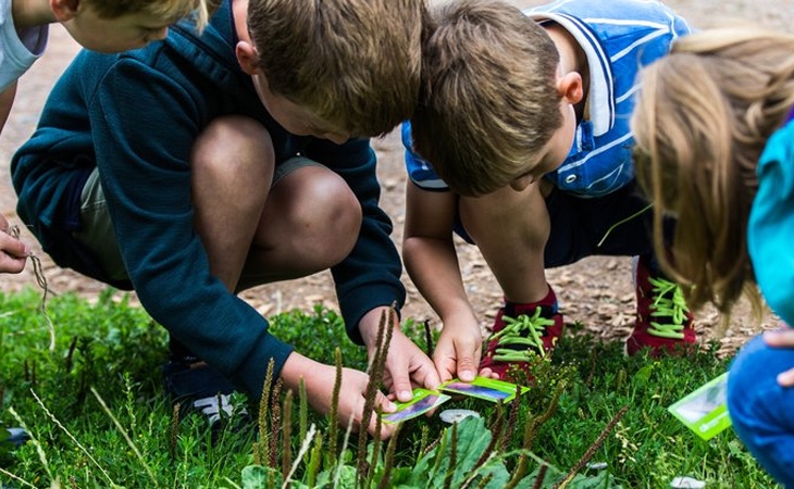 Biodiversity trail