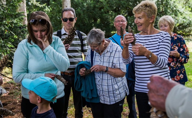 Discovery walk