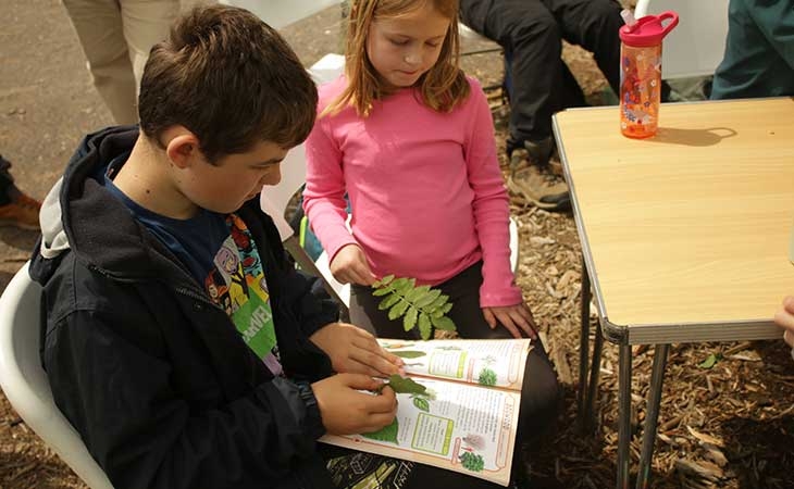 Dursley Scouts