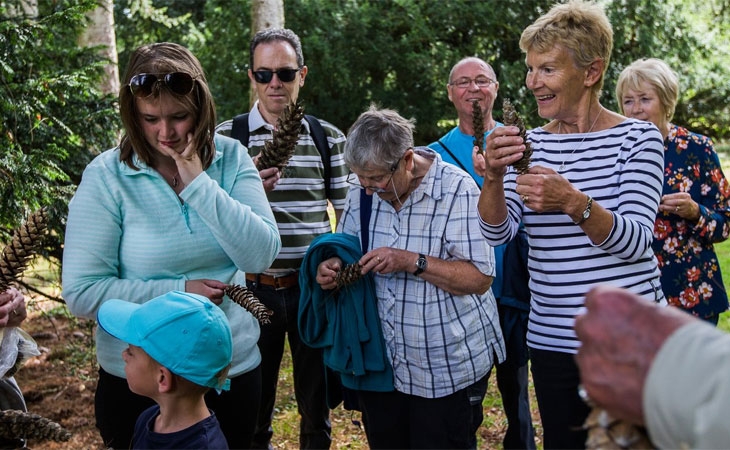 guided walks