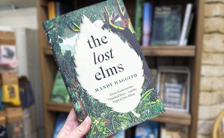 The Lost Elms
