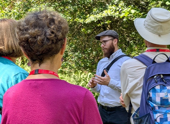 Tour with Curator Dan Crowley