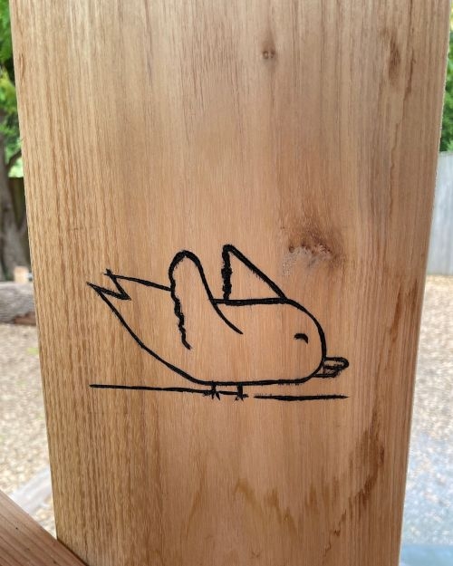 Play bird