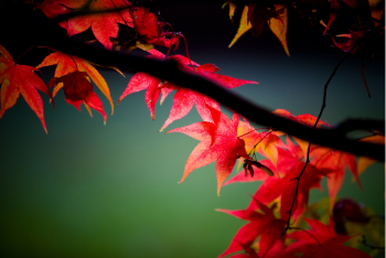 What's on in Oct