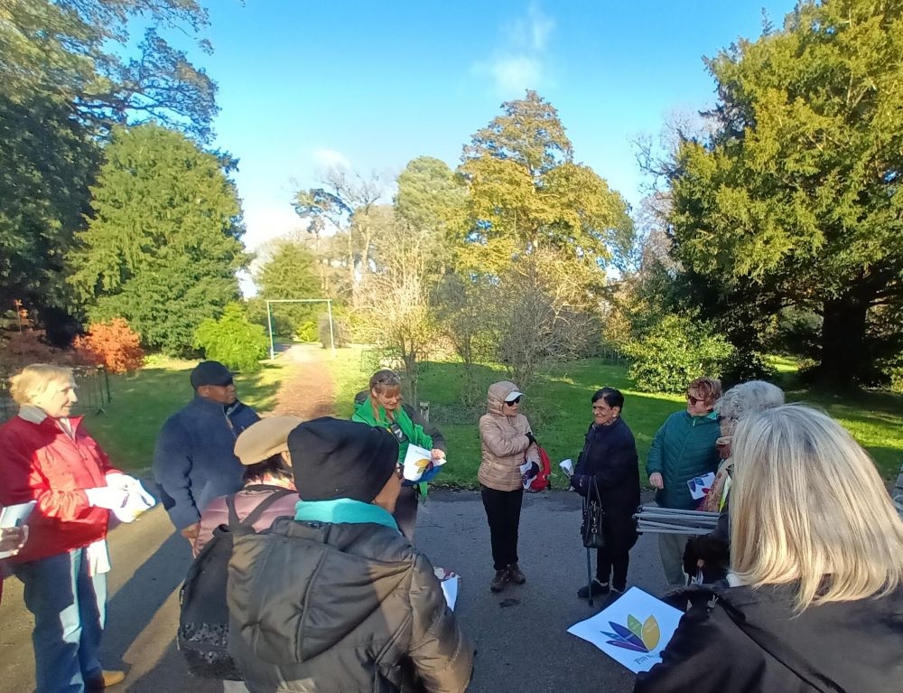 Carers' wellbeing activity