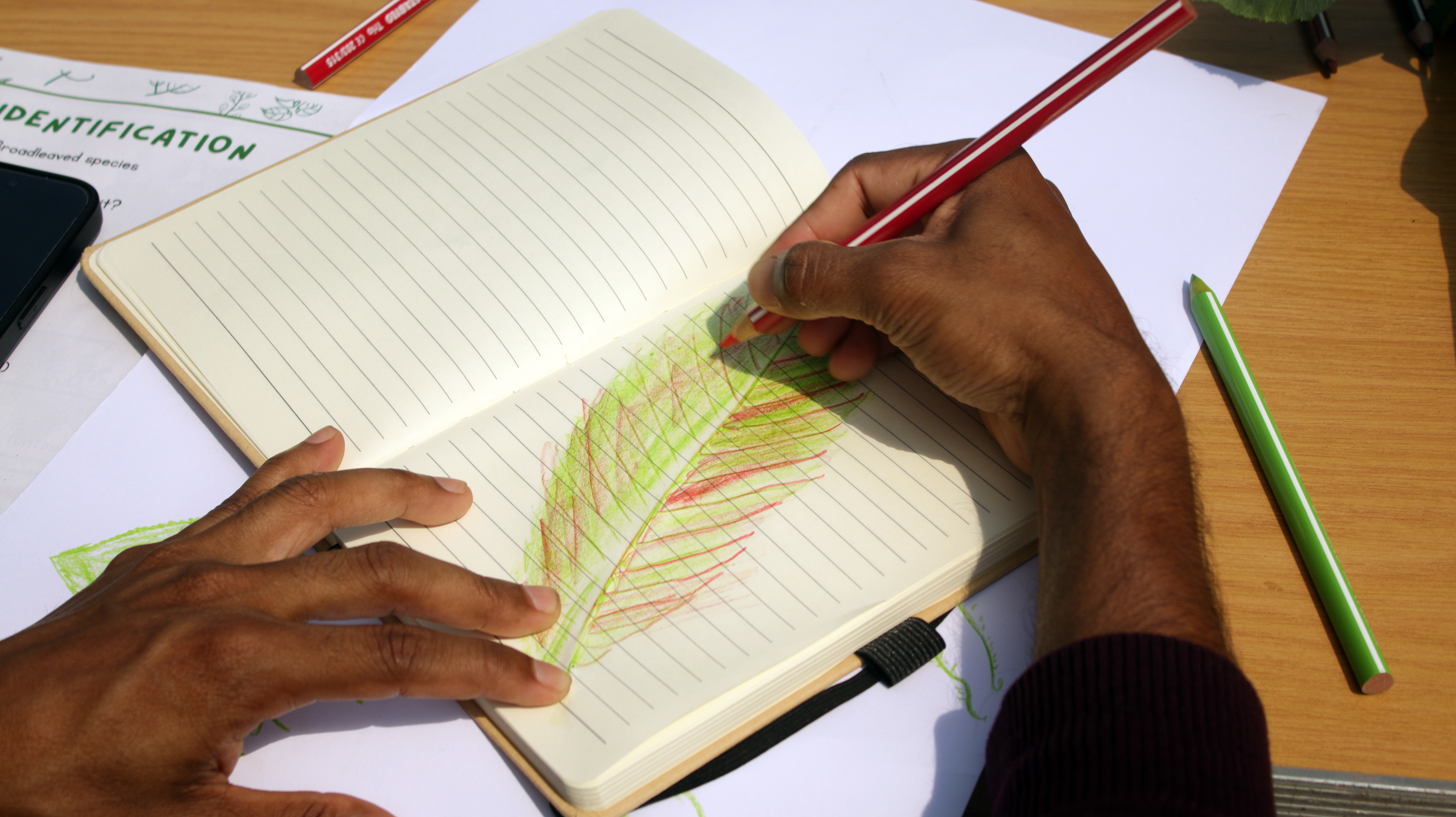 Hands Getting creative! Drawing leaves, exploring their colours, patterns and textures