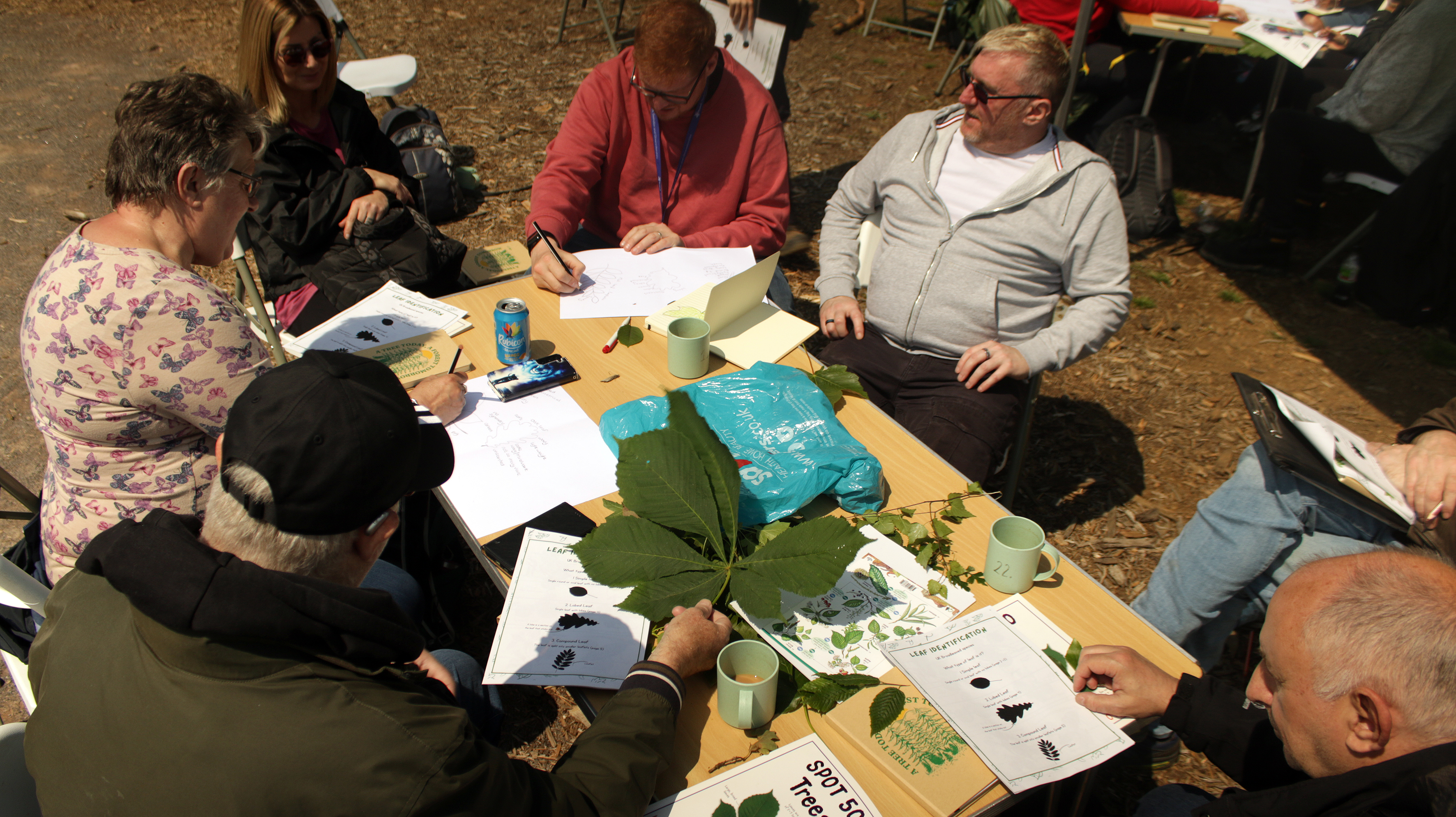 People Working as a group to identify trees, looking for the finer details