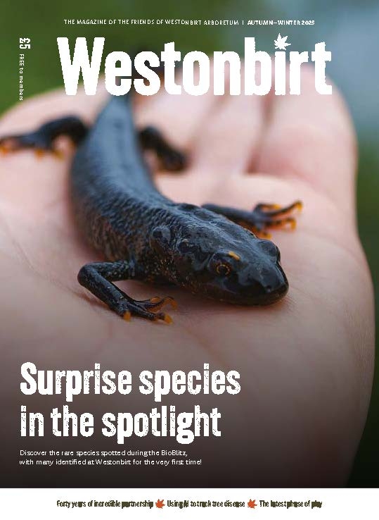 Westonbirt Magazine Autumn/Winter 2025