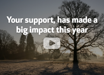 A Heartfelt Thank You For Your Support in 2025