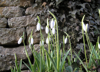 What's on in January