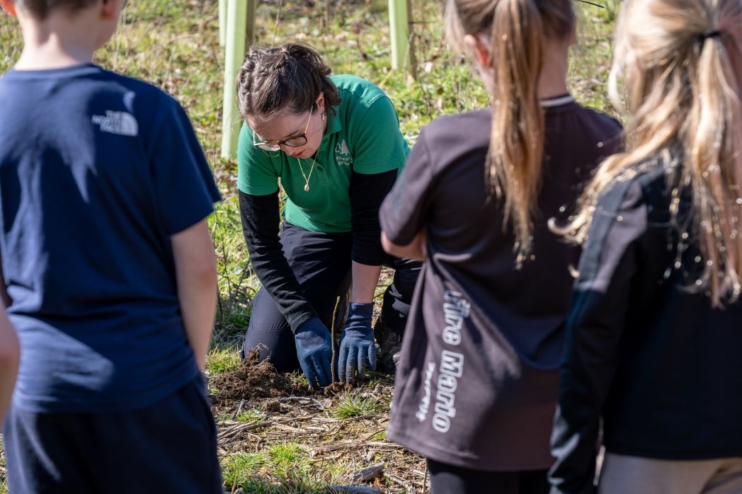A tree-mendous effort: 9,000 trees planted at Silk Wood
