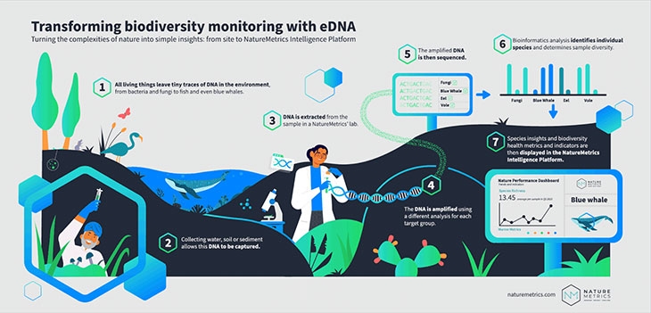 eDNA graphic by NatureMetrics