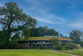 A greener roof, rebuilt for the future