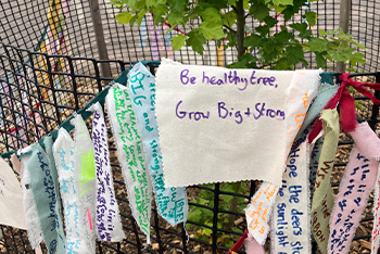 Celebrating the Silk Wood Community Planting Project
