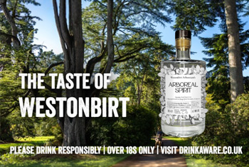 The Story Behind Arboreal Spirit
