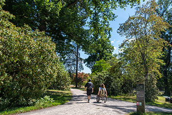 An Arboretum for Everyone