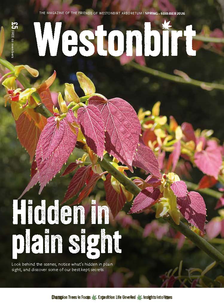 Spring/Summer 2026 Westonbirt Magazine Spring/Summer 2026