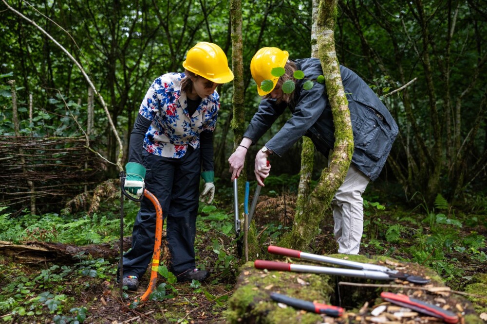 Friends Fund New Woodland Management Project at Westonbirt